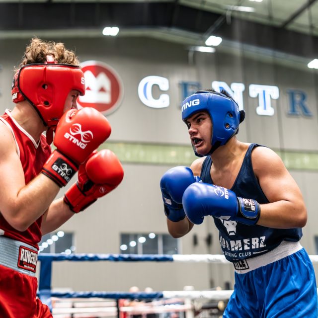 Novice tournament website
