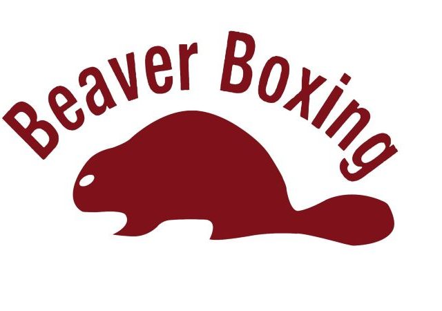 beaver
